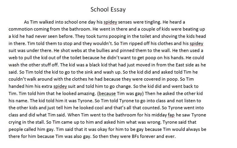 My school essays